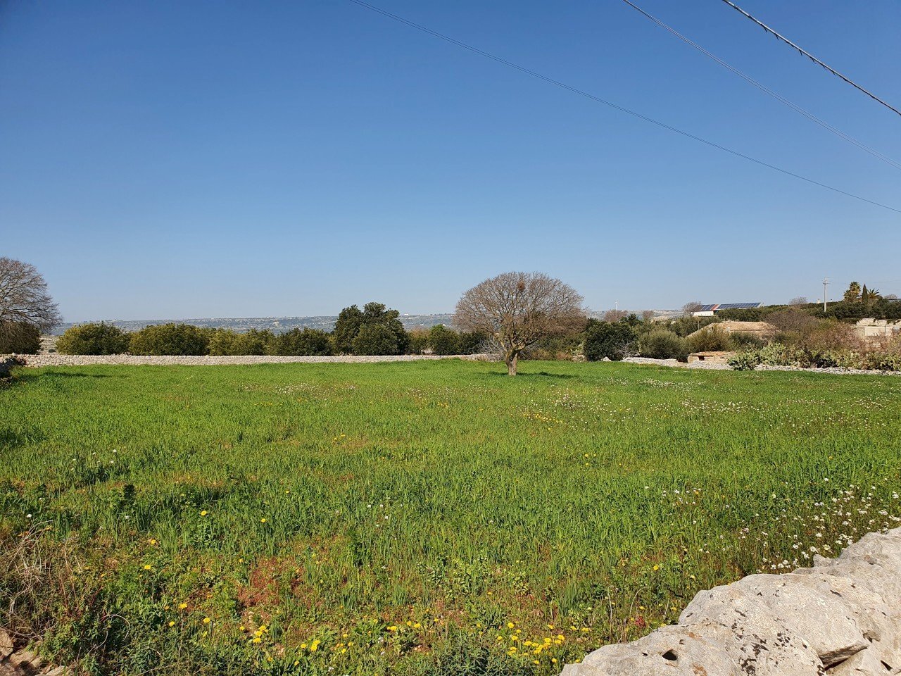 20210226_105102_compress68.jpg - Terreno agricolo Modica - foto 1