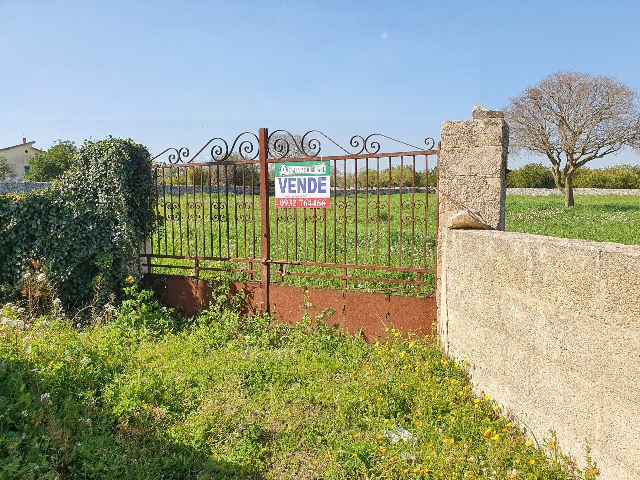 20210226_105308_compress55.jpg - Terreno agricolo Modica - foto 3