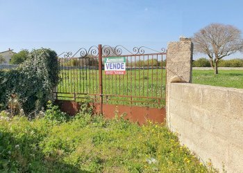 20210226_105308_compress55.jpg - Terreno agricolo Modica - foto 3