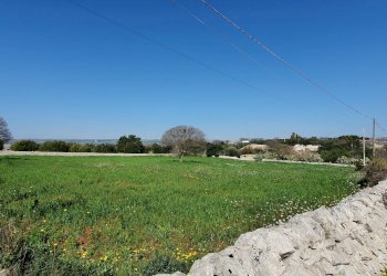 20210226_105055_compress2.jpg - Terreno agricolo Modica - foto 6