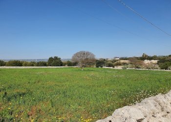 20210226_105059_compress48.jpg - Terreno agricolo Modica - foto 7