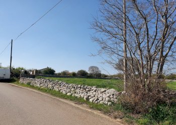 20210226_105247_compress90.jpg - Terreno agricolo Modica - foto 11