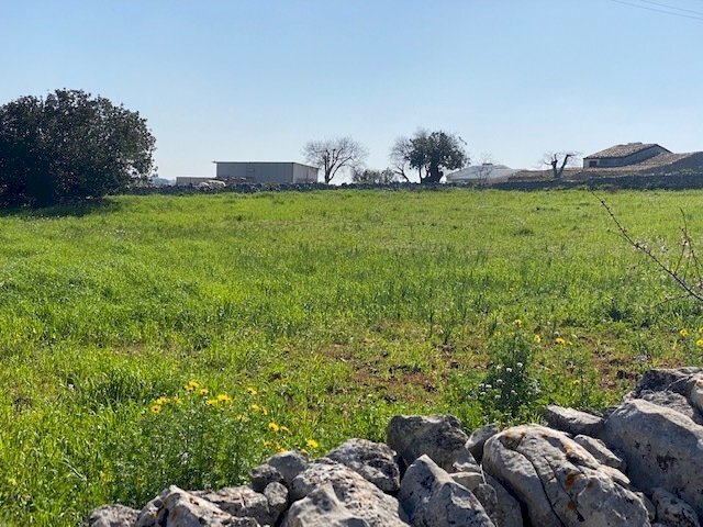 IMG_2438.jpg - Terreno agricolo Modica - foto 1