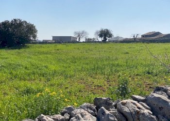 IMG_2438.jpg - Terreno agricolo Modica - foto 1