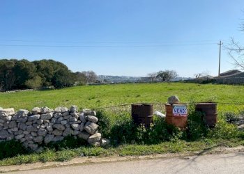 IMG_2435.jpg - Terreno agricolo Modica - foto 5