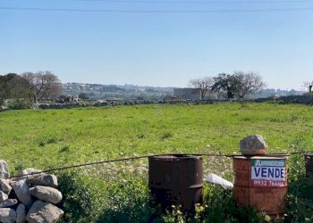 IMG_2436.jpg - Terreno agricolo Modica - foto 6