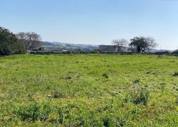 IMG_2437.jpg - Terreno agricolo Modica - foto 7