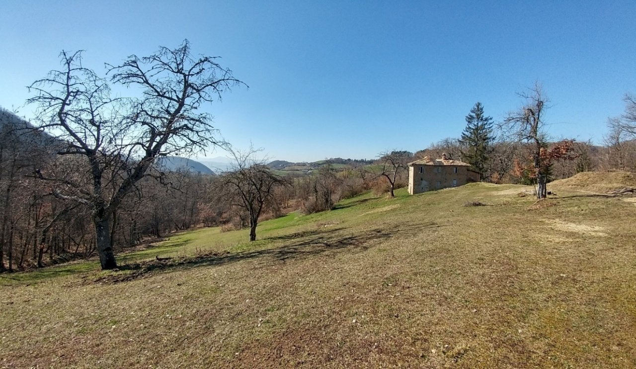 podere zocca (1) (FILEminimizer).jpg - Rustico Zocca - foto 3