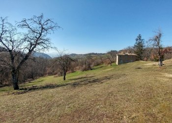 podere zocca (1) (FILEminimizer).jpg - Rustic Zocca - photo 3