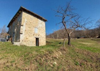 podere zocca (3) (FILEminimizer).jpg - Rustic Zocca - photo 4