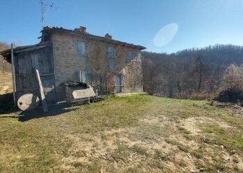 podere zocca (5) (FILEminimizer).jpg - Rustic Zocca - photo 5