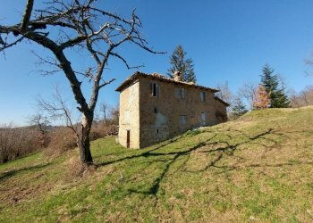 podere zocca (6) (FILEminimizer).jpg - Rustic Zocca - photo 6