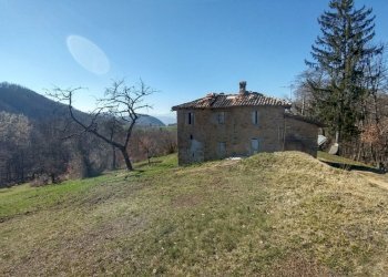 podere zocca (8) (FILEminimizer).jpg - Rustic Zocca - photo 8