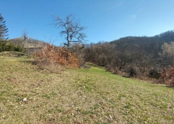 podere zocca (11) (FILEminimizer).jpg - Rustic Zocca - photo 11