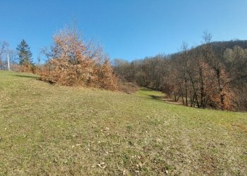 podere zocca (12) (FILEminimizer).jpg - Rustic Zocca - photo 12