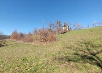 podere zocca (13) (FILEminimizer).jpg - Rustic Zocca - photo 13