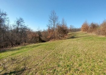 podere zocca (15) (FILEminimizer).jpg - Rustic Zocca - photo 15