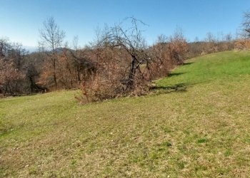 podere zocca (17) (FILEminimizer).jpg - Rustic Zocca - photo 17