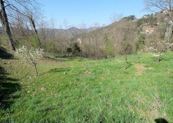 Rif 357 (29).JPG - Rustico Tiglieto - foto 10