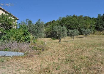 Rustico Cupra Marittima - foto 5