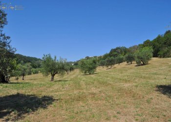 Rustico Cupra Marittima - foto 6