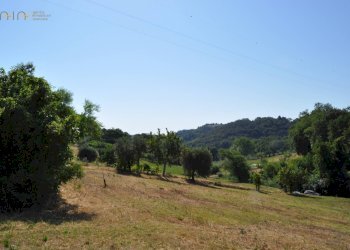 Rustico Cupra Marittima - foto 14