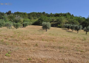 Rustico Cupra Marittima - foto 16