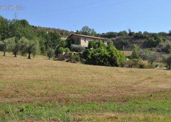 Rustico Cupra Marittima - foto 21