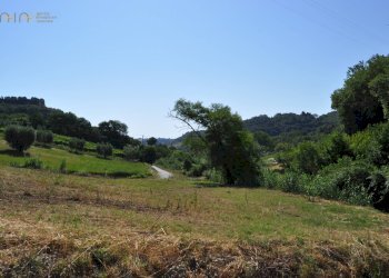 Rustico Cupra Marittima - foto 24