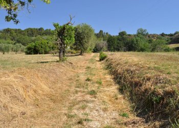 Rustico Cupra Marittima - foto 28