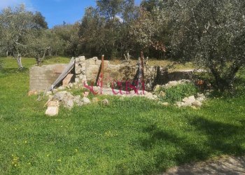 Rustico Roccastrada - foto 5