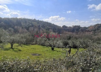 Rustico Roccastrada - foto 6