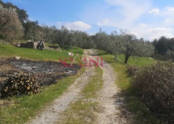 Rustico Roccastrada - foto 7