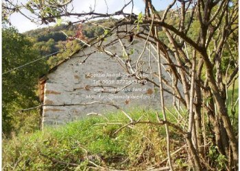 Rustic via Martiri del 23 Giugno 1944, 9, Malesco - photo 8