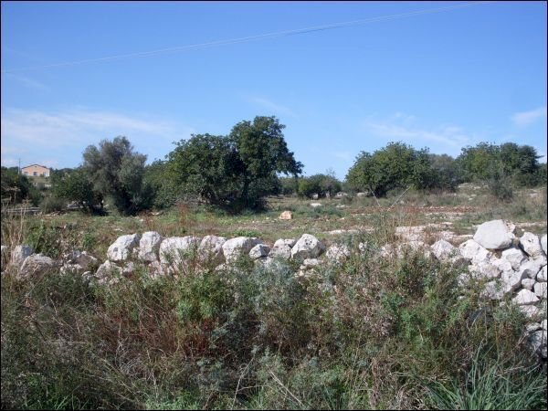 foto varie 001 - Terreno agricolo Pozzallo - foto 2