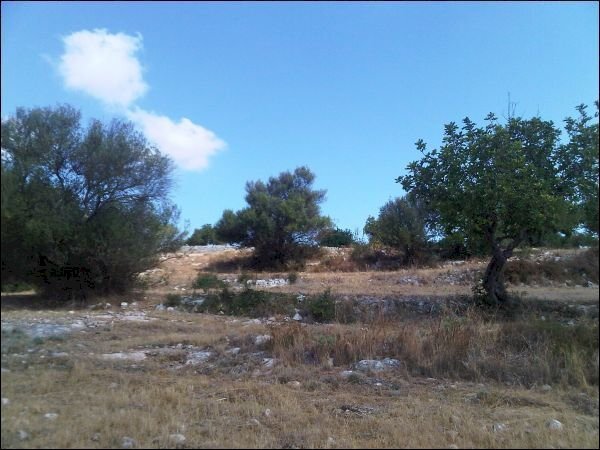 TERR - Terreno agricolo Pozzallo - foto 3