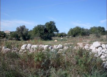foto varie 001 - Terreno agricolo Pozzallo - foto 2