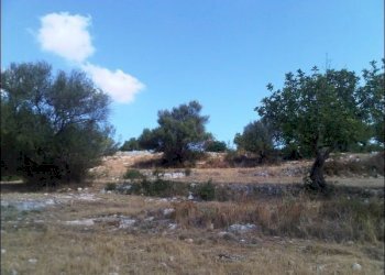 TERR - Terreno agricolo Pozzallo - foto 3