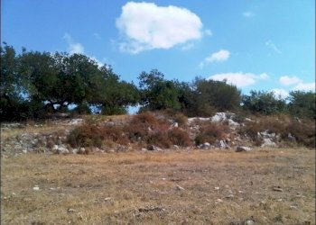 TERRA - Terreno agricolo Pozzallo - foto 4