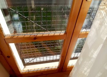 IMG_20210128_101056.jpg - Appartamento Via del Modiolo 1, Terni - foto 14