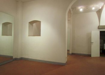 vendita_locale_commerciale_firenze_100857562062406 - Locale Commerciale Via Pesciatina, Lucca - foto 8