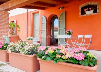 IMG_7929.jpg - Monolocale Via San Mamante 1, Faenza - foto 6