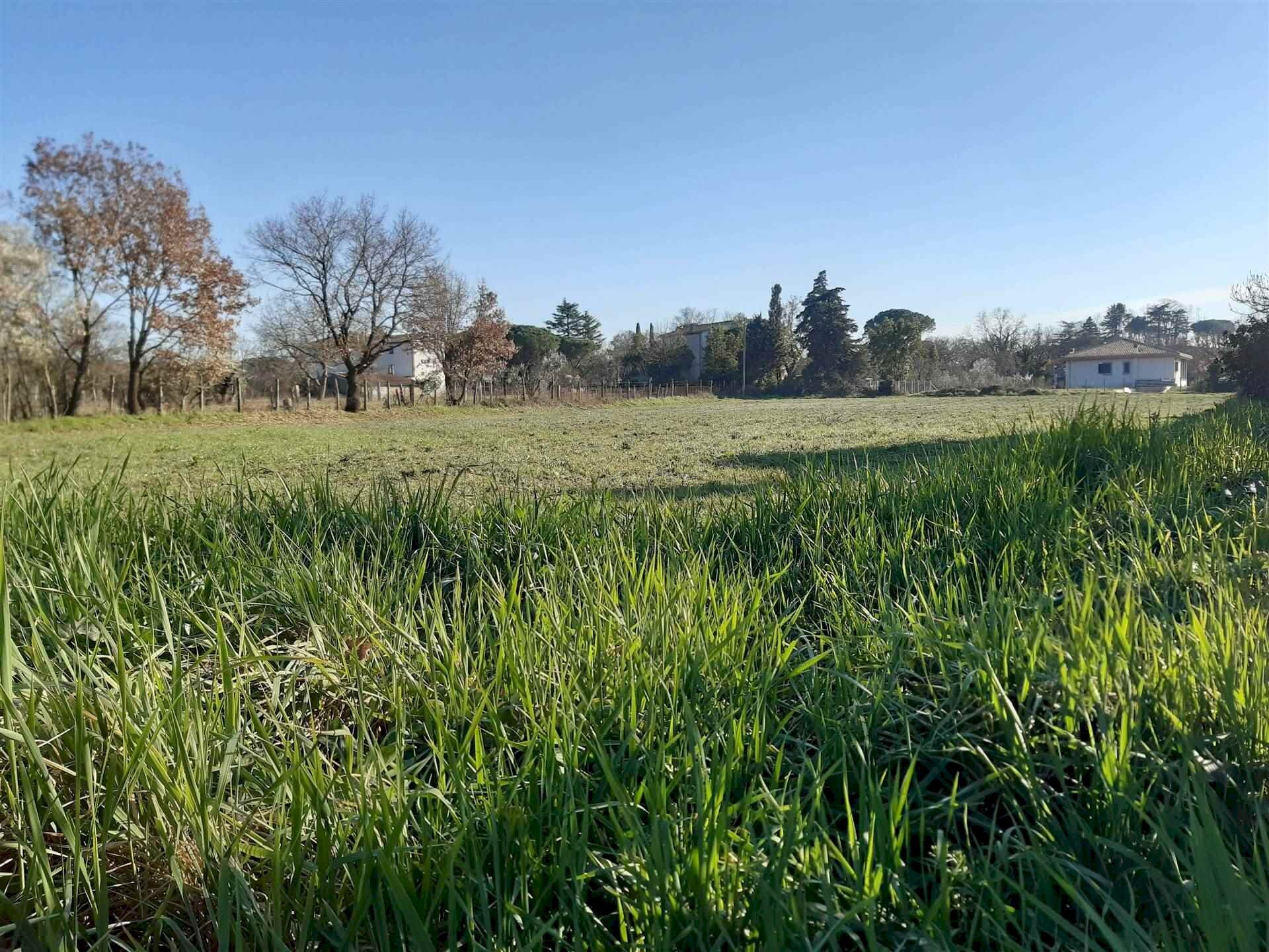 Terreno edificabile -, Vetralla - foto 2