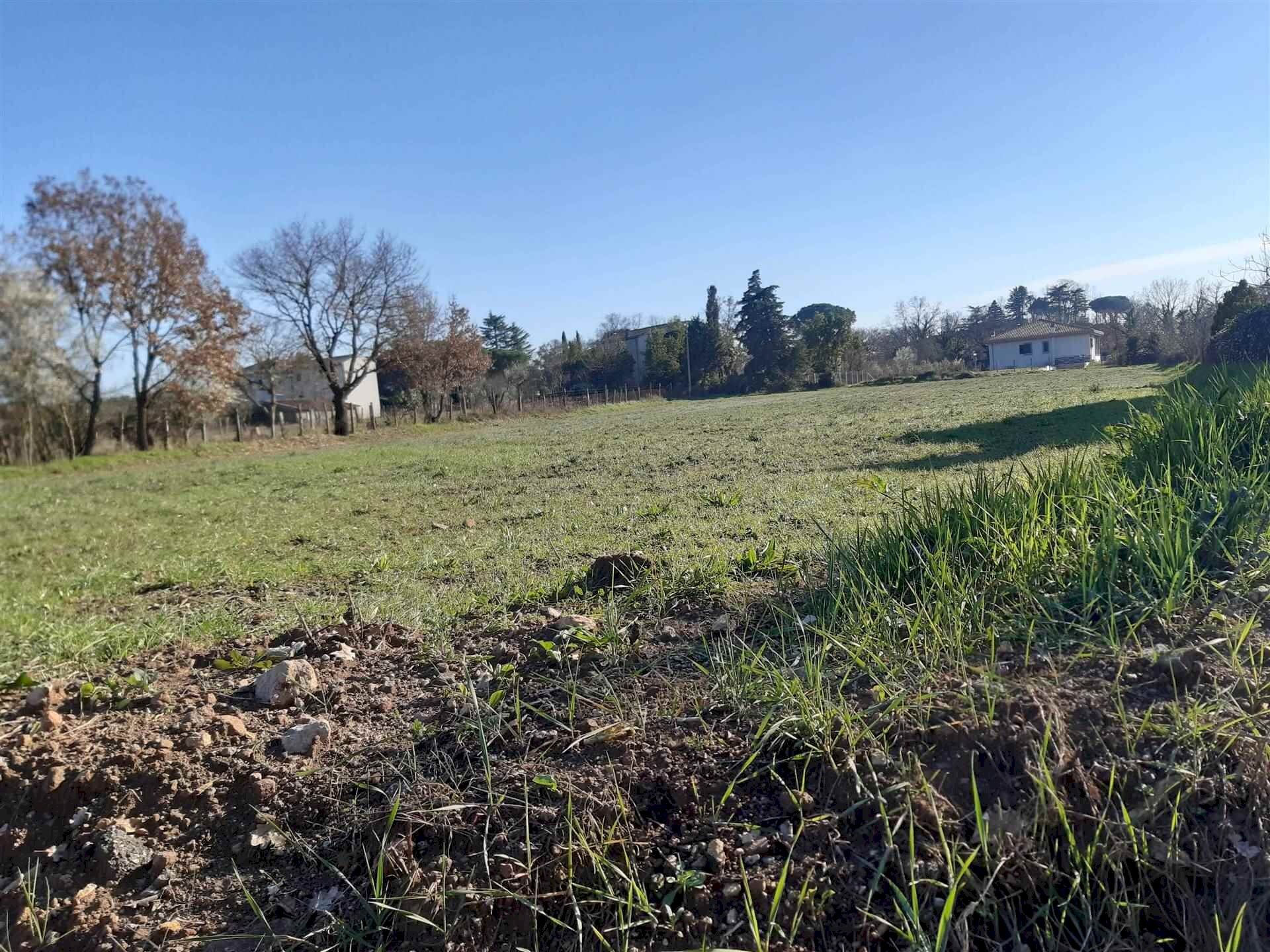 Terreno edificabile -, Vetralla - foto 3