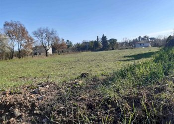 Terreno edificabile -, Vetralla - foto 3