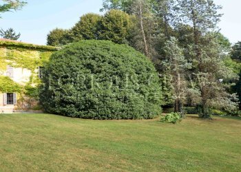 Villa Unifamiliare Via Gioacchino Rossini, Tradate - foto 14