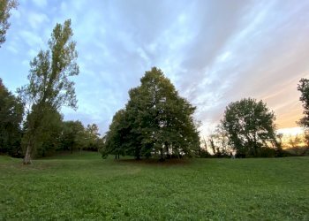 terreno - Terreno agricolo Albinea - foto 1