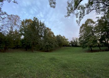 terreno - Terreno agricolo Albinea - foto 2