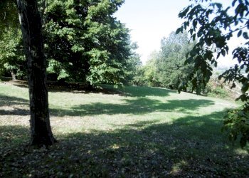 terreno - Terreno agricolo Albinea - foto 3