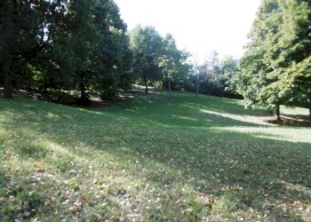 terreno - Terreno agricolo Albinea - foto 4